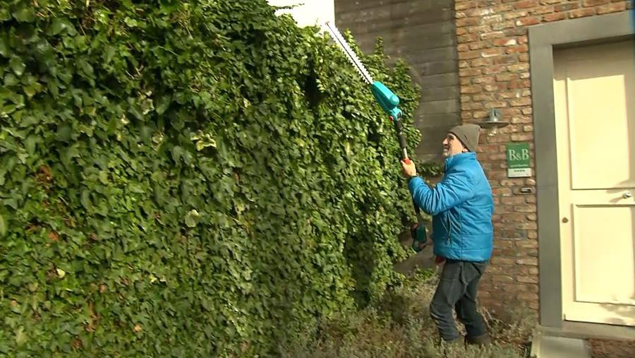 Hoe snoei je een haag?