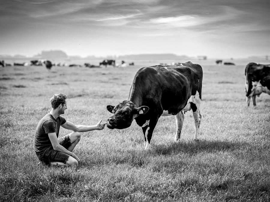 Duurzaamheid doorheen de keten van Noord-Hollandse Gouda