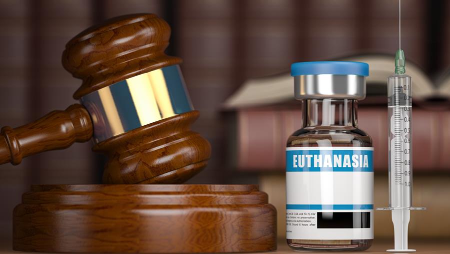 Toch geen vergoeding of honorarium voor euthanasie